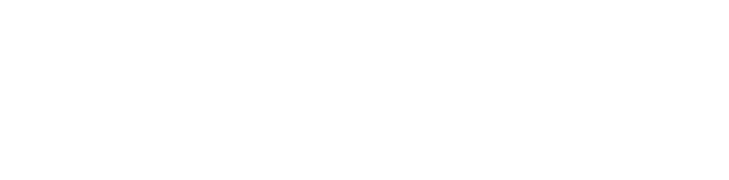 Cyber Security Vocational School Logo
